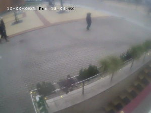 Caméra IP - Lituania