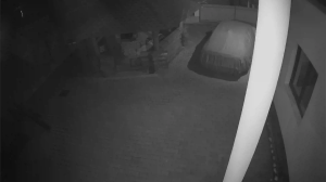 Caméra IP - Romania