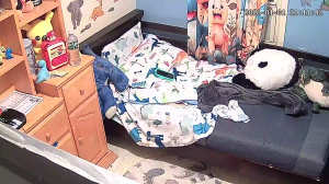 Caméra IP - United States of America