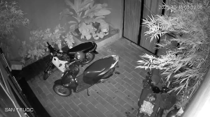 Caméra IP - Vietnam
