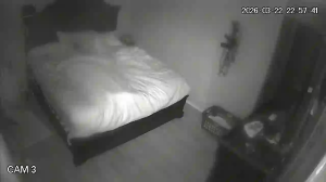 Caméra IP - United States of America