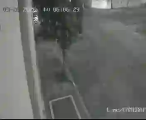 Caméra IP - Argentina