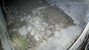 Caméra IP - Indonesia