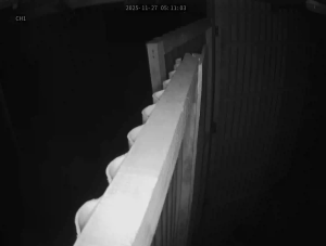 Caméra IP - South Korea