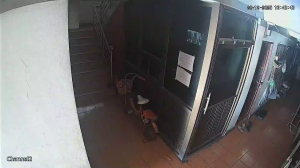 Caméra IP - Tailandia