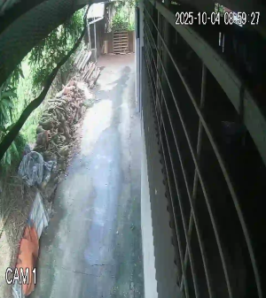 Caméra IP - Vietnam
