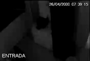 Caméra IP - Brésil