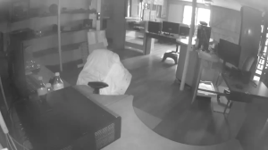 Caméra IP - Vue en direct