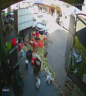 Caméra IP - Messico