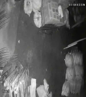 Caméra IP - Colombie