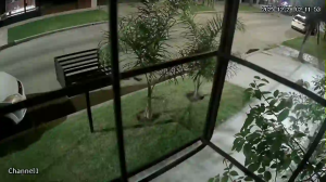 Caméra IP - Argentina