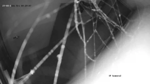 Caméra IP - Slowakei