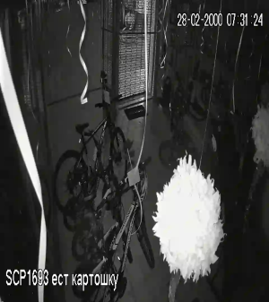 Caméra IP - Bolivia