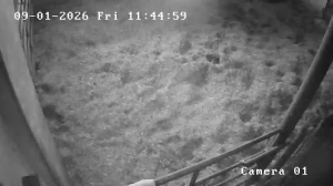 Caméra IP - Österreich