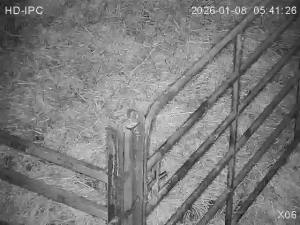 Caméra IP - Irlande