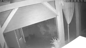 Caméra IP - Netherlands