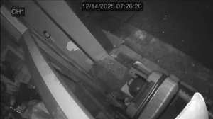 Caméra IP - Corée du Sud