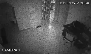 Caméra IP - Morocco