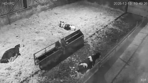 Caméra IP - Royaume-Uni