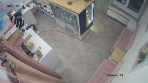 Caméra IP - Russian Federation