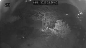 Caméra IP - South Korea