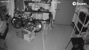 Caméra IP - Vereinigte Staaten von Amerika