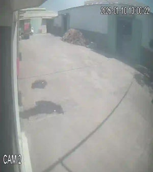 Caméra IP - Vietnam