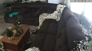 Caméra IP - États-Unis d'Amérique