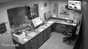 Caméra IP - United States of America