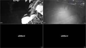 Caméra IP - Portugal