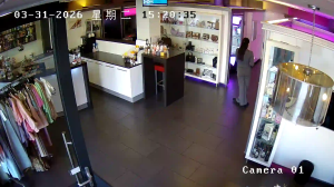 Caméra IP - Netherlands