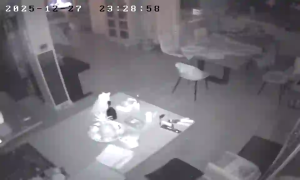 Caméra IP - Paesi Bassi