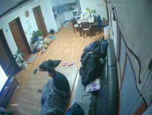 Caméra IP - South Korea