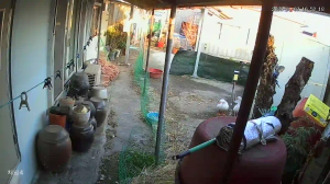 Caméra IP - Corée du Sud