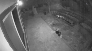 Caméra IP - South Korea