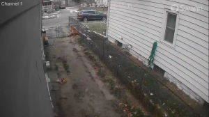 Caméra IP - United States of America