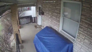 Caméra IP - États-Unis d'Amérique