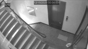 Caméra IP - Corée du Sud