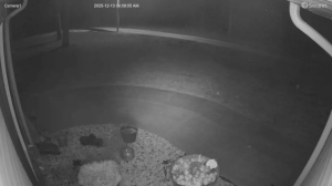 Caméra IP - États-Unis d'Amérique