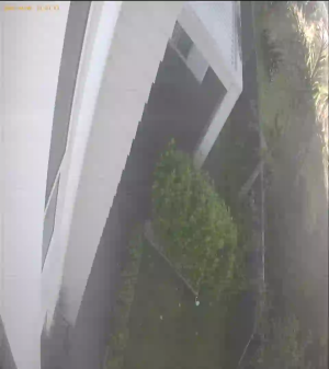 Caméra IP - New Zealand