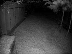 Caméra IP - República de Corea