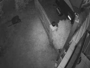 Caméra IP - Australien