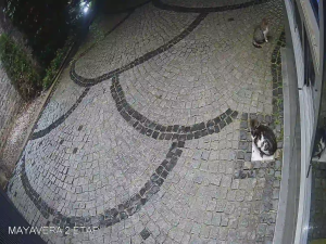 Caméra IP - Türkiye