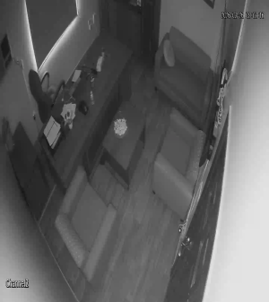 Caméra IP - Saudi Arabia