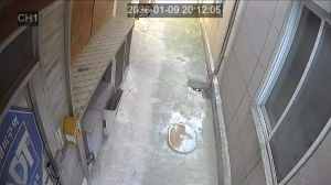 Caméra IP - South Korea