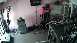 Caméra IP - Australia