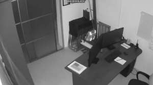 Caméra IP - Russian Federation