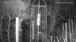 Caméra IP - Germany