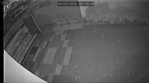 Caméra IP - Singapore