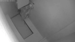 Caméra IP - Slovakia